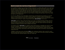 Tablet Screenshot of bullymag.com